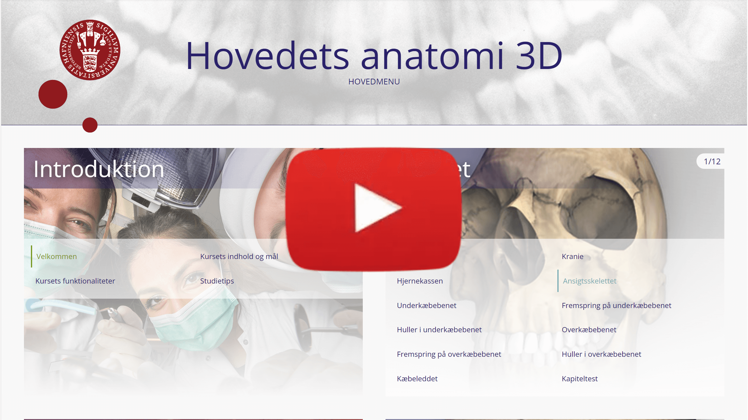 e-læring - Hovedets anatomi 3D